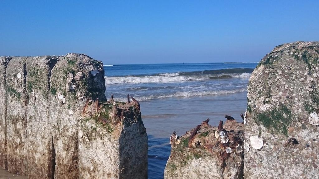 Erdgeschosswohnung In Alt-Westerland. Bagian luar foto